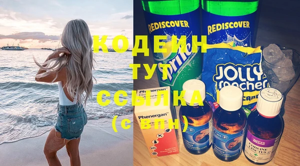 молекула духа Ладушкин
