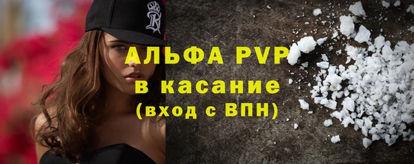 молекула духа Ладушкин