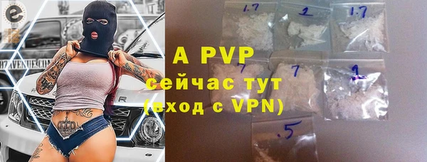 молекула духа Ладушкин