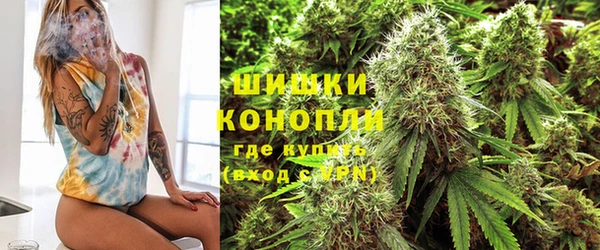 твердый Краснослободск
